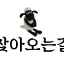 현내시장길 이미지