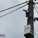 JK농장 네이버블로그