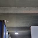 유진흑염소 이미지