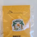 베리기프트 이미지