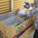 계두농장 이미지