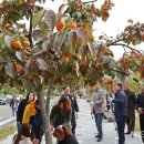 정평마을회관 이미지