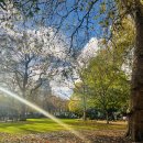 문화가 있는 날 - 비틀즈와 클래식의 만남 | 런던 미술관•도서관 하루코스 | 테이트모던•내셔널갤러리•영국도서관 솔직후기