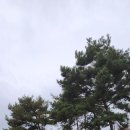 샘하우스 이미지