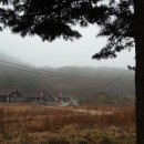 산촌편지