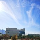 배곧엠플러스정비센터 | 🌅 배곧생명공원 데이트 코스 후기