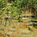 덕절산생태공원 이미지