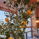 동대구농장 이미지