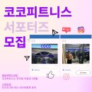 코코휘트니스 이미지