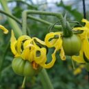 부부농장 이미지