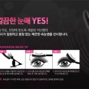 래쉬핏(Lash Fit)