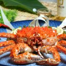 바다회천국 이미지