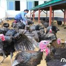 청해농장 이미지