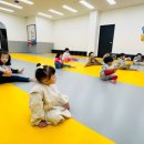 리틀 키즈 태권도장 이미지
