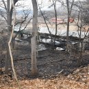 용인양계 이미지