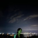 땡큐댕댕 이미지