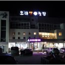 속초 동명항 맛집 오대양회집과 동명항생선숯불구이에서 배터지도록 먹고 온 후기