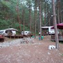 휘게리 잣나무숲 캠핑장 이미지