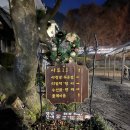 진산농협하나로마트 이미지