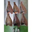 청정해역 이미지