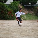 관호초등학교 이미지