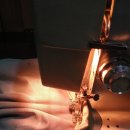 사니조아 이미지