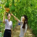 문당