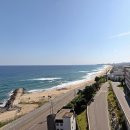 일현미술관 이미지