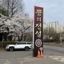 전설 | 주차 편한 일산 찐맛집 뿅의전설 내돈내산 후기(해물짬뽕&amp;탕수육 미친 맛!)