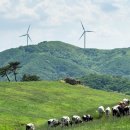 유동목장 이미지