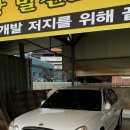 엘리강스