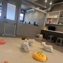 애견천국 이미지