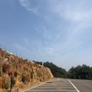 소금강행복펜션마트 | 가평 비비숑숑 반려견 펜션 | 애견동반펜션 실내 실외 수영장 독채 풀빌라 찐 후기 🐾