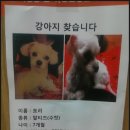 명지오션시티동물병원 이미지