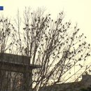 수휴게실 - 성주군 상언3길 12 | 수휴게실