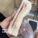 온사랑펫 | 체리와 함께한 2025 부산펫쇼 후기 !