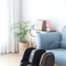 유미타스 | 다리마사지기 유미타스 레그앤드 리얼후기