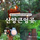 제주 반딧불 | 7월 제주 여행코스 산양큰엉곶 후기 (반딧불, 입장료, 소요시간 )