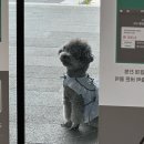 용맹한옷장 | 26년 6월
