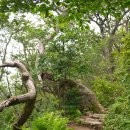 240803 - 제343차('24-17) 지리산 "반야봉" 정기산행 이미지