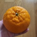 일이삼정육점