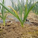 큰집농장 이미지