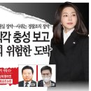 황하영