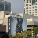 목동행복한약국 | 11월 이야기