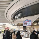 스타필드 수원 화서점 웰니스 동물병원 | 수원 스타필드 소금빵 팝업 시오팡야 오픈런 웨이팅 후기