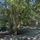 인디언썸머 | 제주 서귀포 감성숙소 추천: 인디언썸머 1박 후기 (에어비앤비 예약)