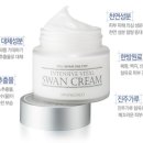 스완코코 이미지