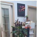 민앤민구들민박 이미지