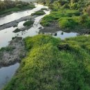 가락생태공원(2) 이미지