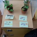 백양초등학교 이미지